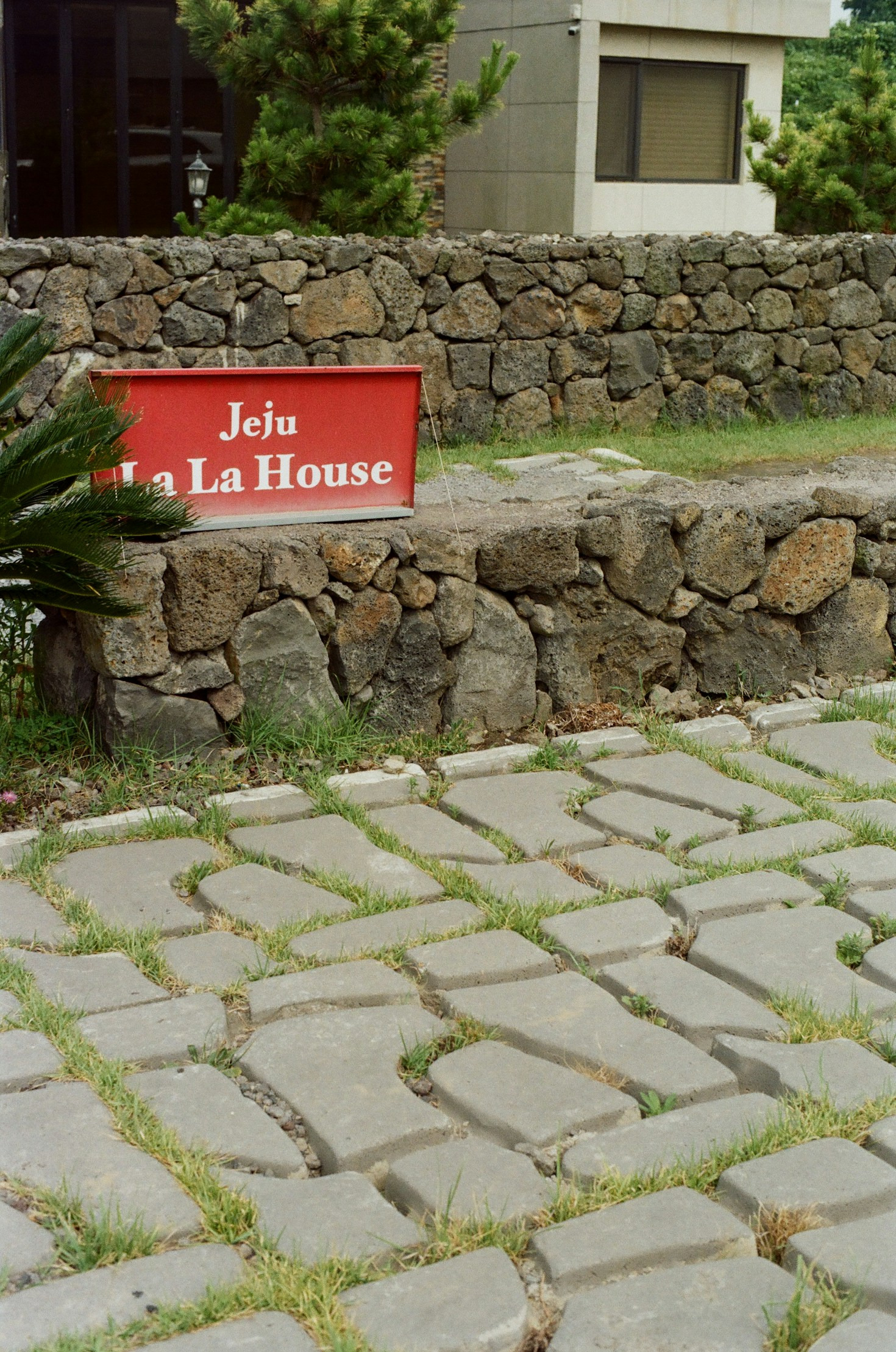 Vivencias que só poden ser contadas en galego